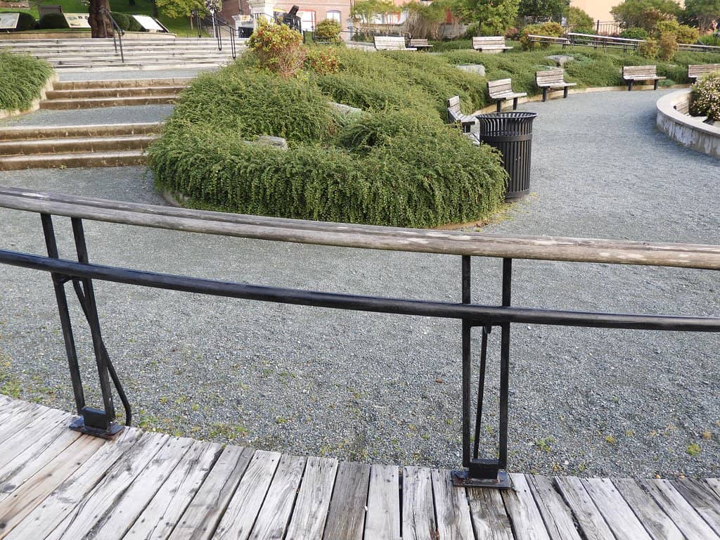 Whimsical Dog Statues