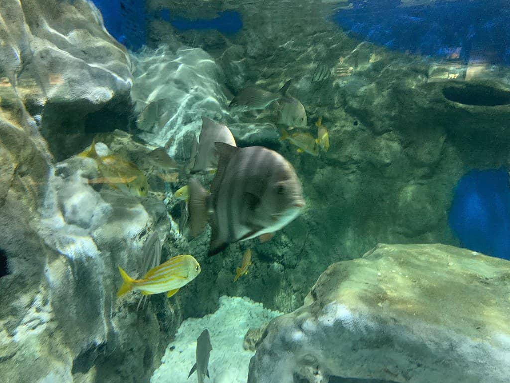 Children's Playground