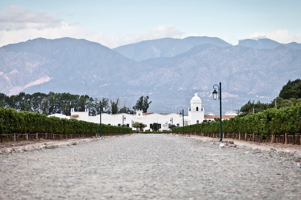 Bodega El Esteco