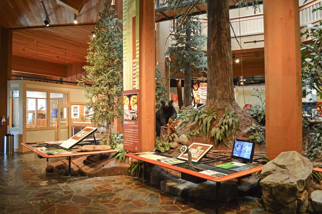 Interior of the first floor of World Forestry Center's Discovery Museum.