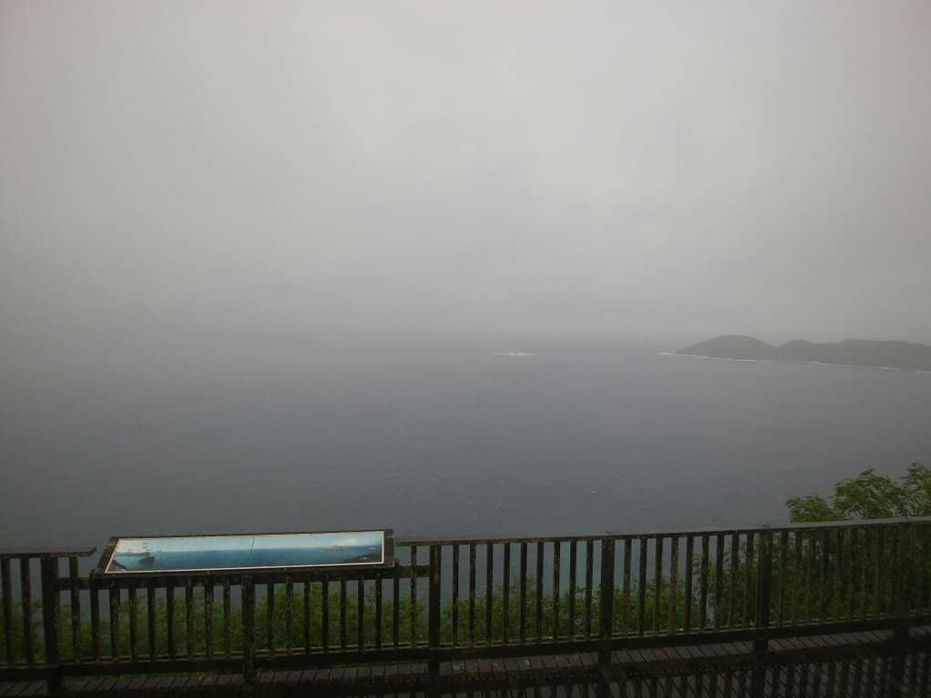 Winter Whale Watching