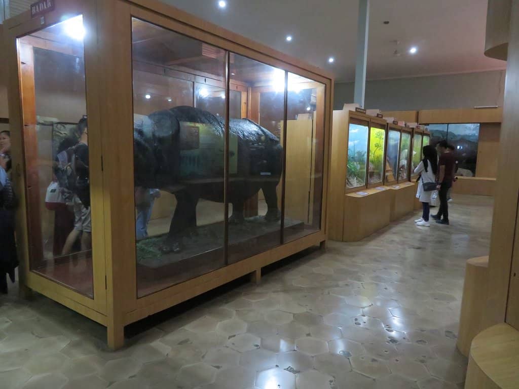 Educational Displays