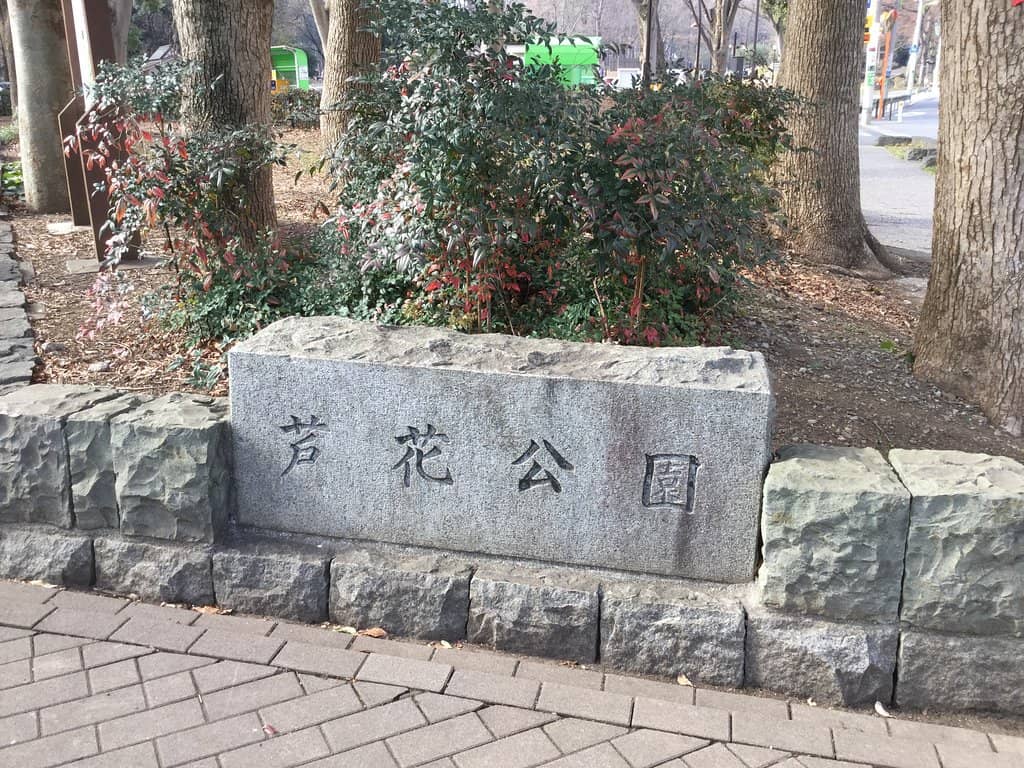 Dog Run Paradise
