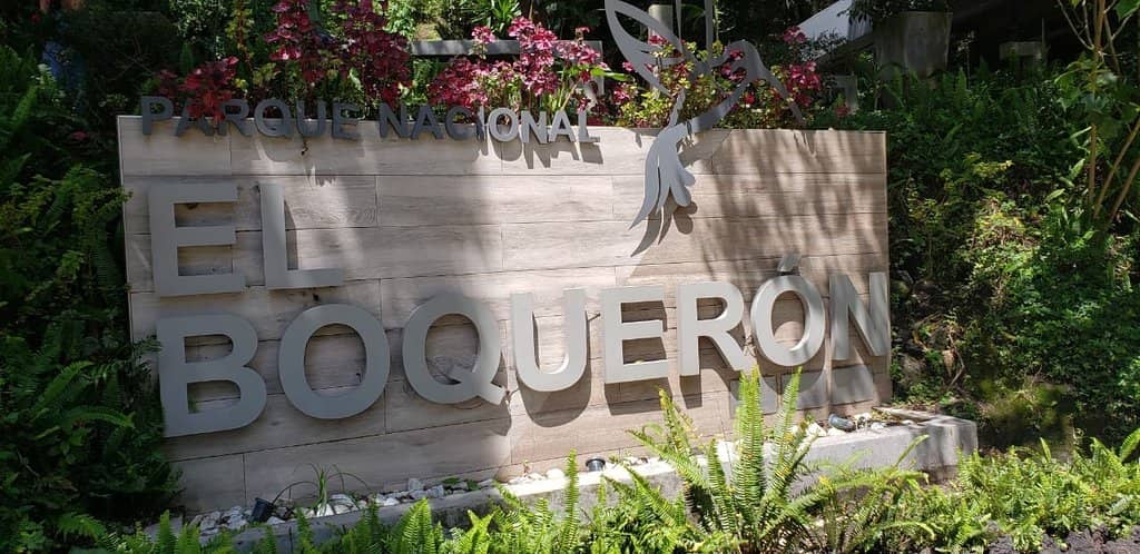 Glass Floor Viewpoint