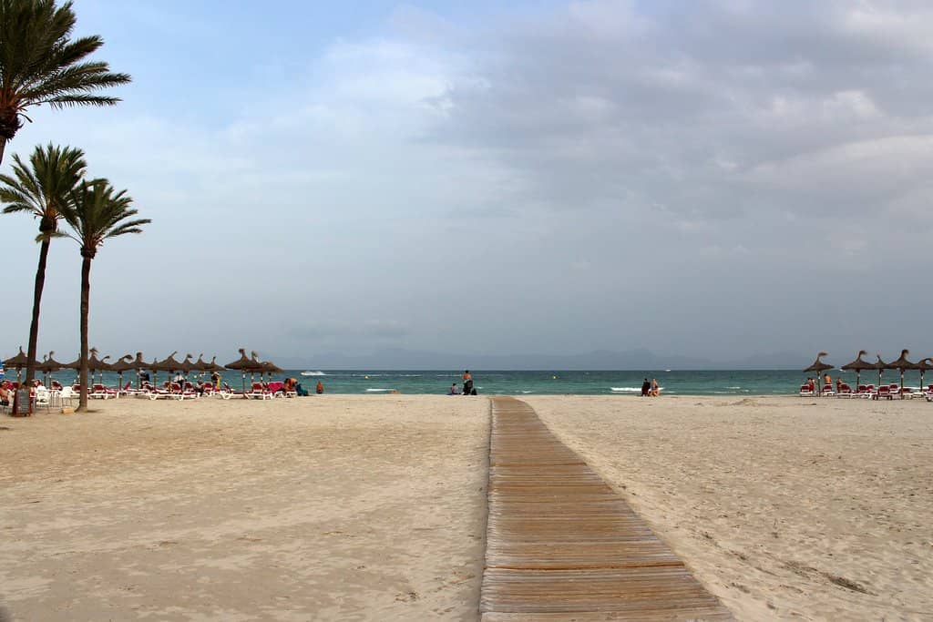 Shallow, Warm Waters