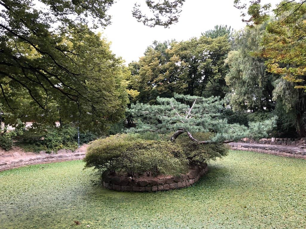 Chang Ucchin Retrospective