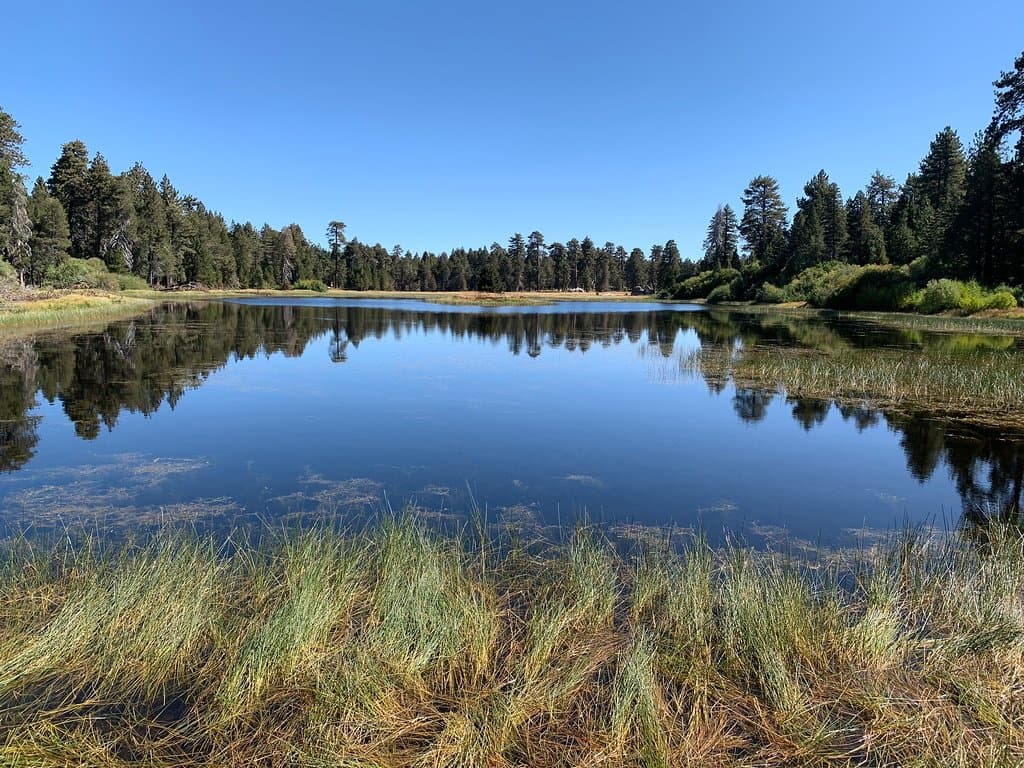 Bluff Lake Reserve