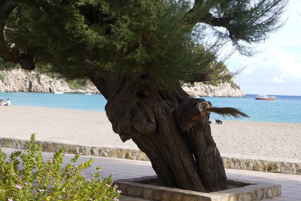 Golden Sandy Beach
