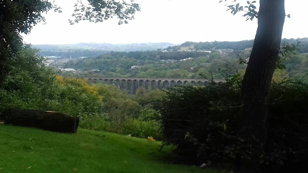 Wooden Animal Sculpture Trail