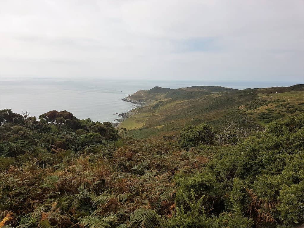 Coastal Path Views