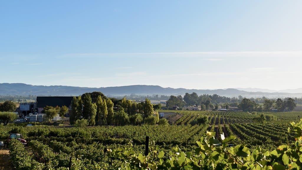 Our gorgeous Wine Estate and western Carneros