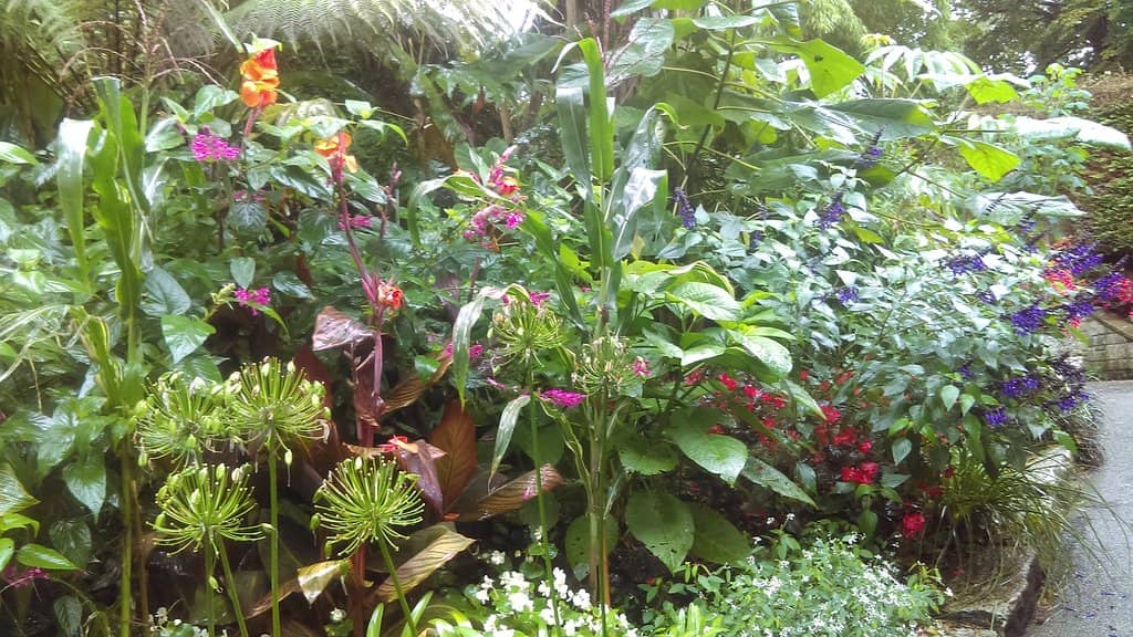 Japanese Garden