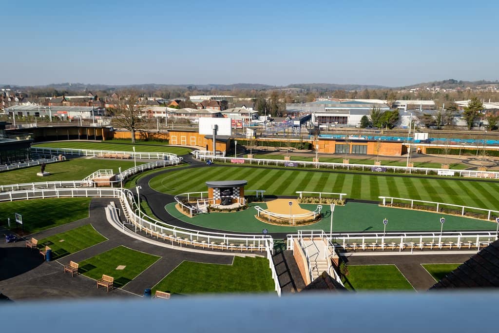 Thrilling Horse Races