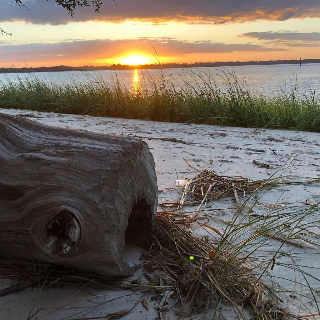 Carolina Beach State Park