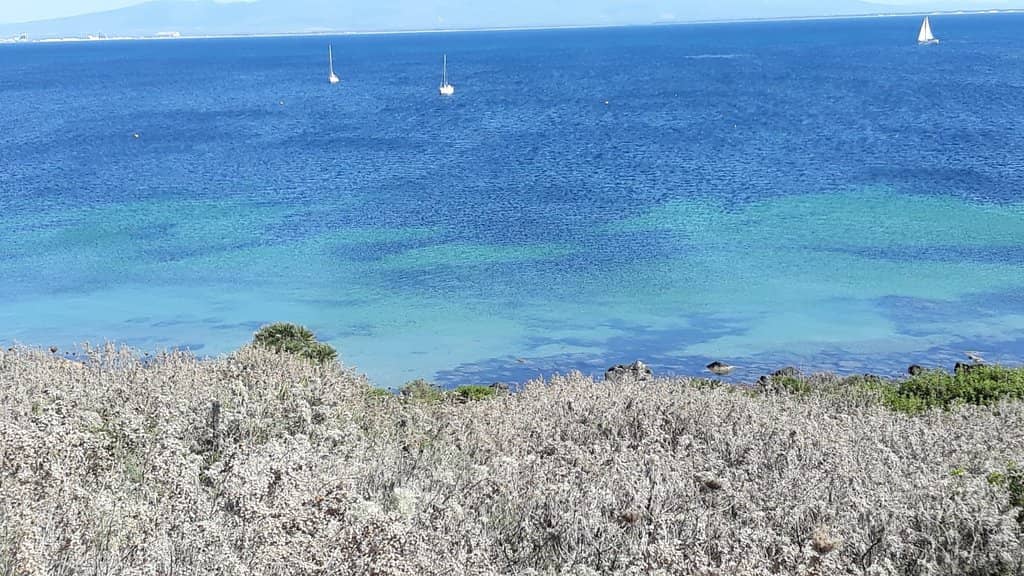 Crystal-Clear Waters