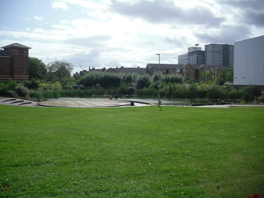 The Swans and Lake