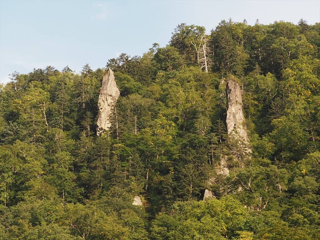 Mori no Kamisama (Forest God Tree)