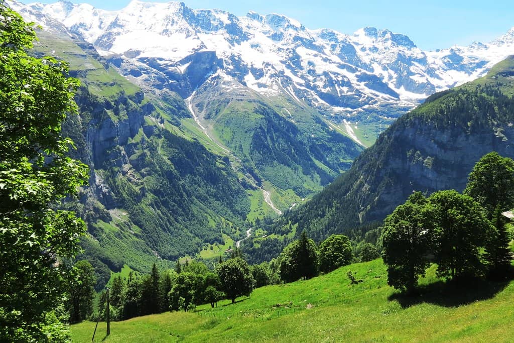 Allmendhubel Flower Park