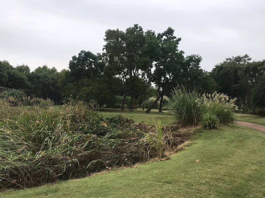 Diverse Thematic Gardens
