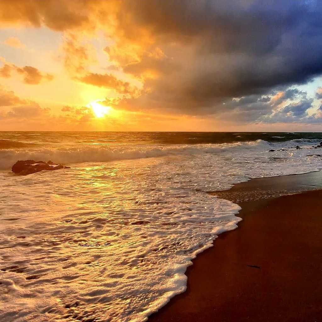 Coral Cove Park