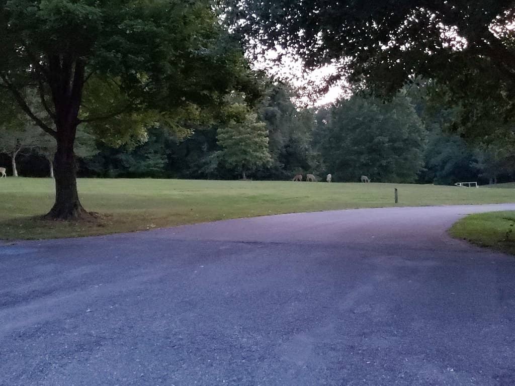 South River Overlook