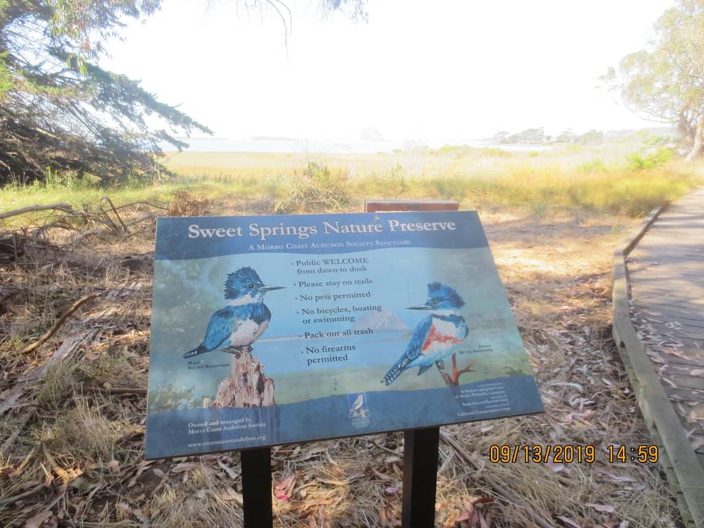 Peaceful Walking Trails