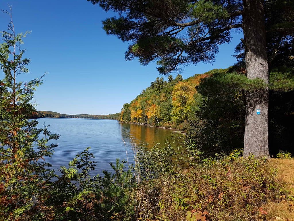 Early Oct on Lac Philippe