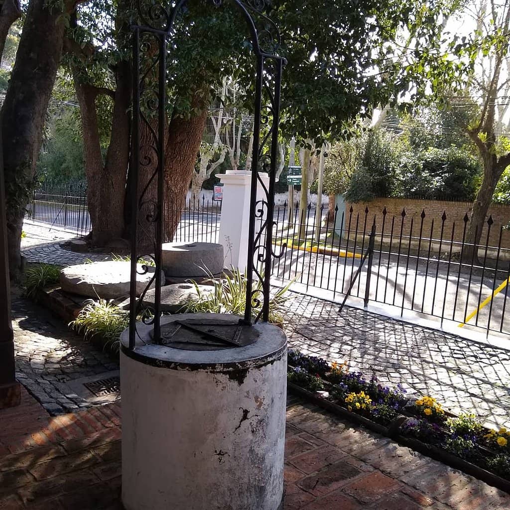 Vertical photo