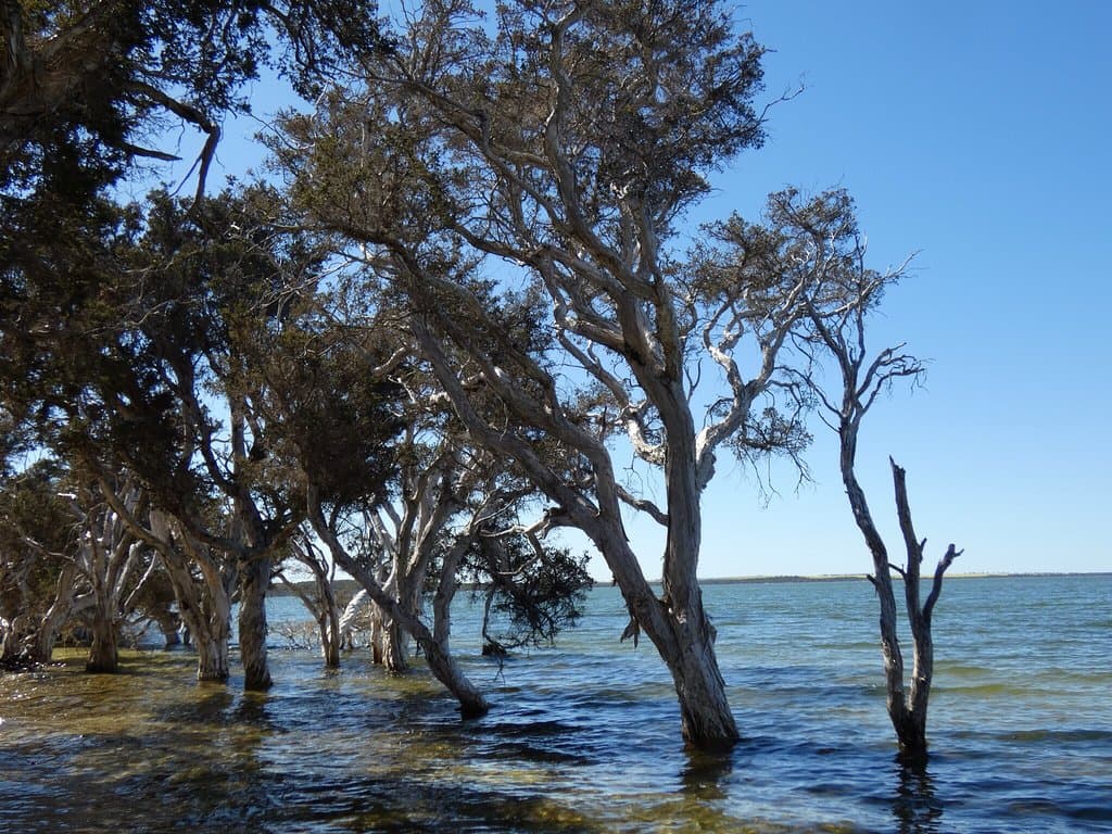 Stokes National Park