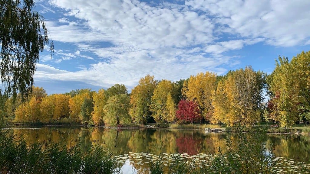 Parc Angrignon Montreal