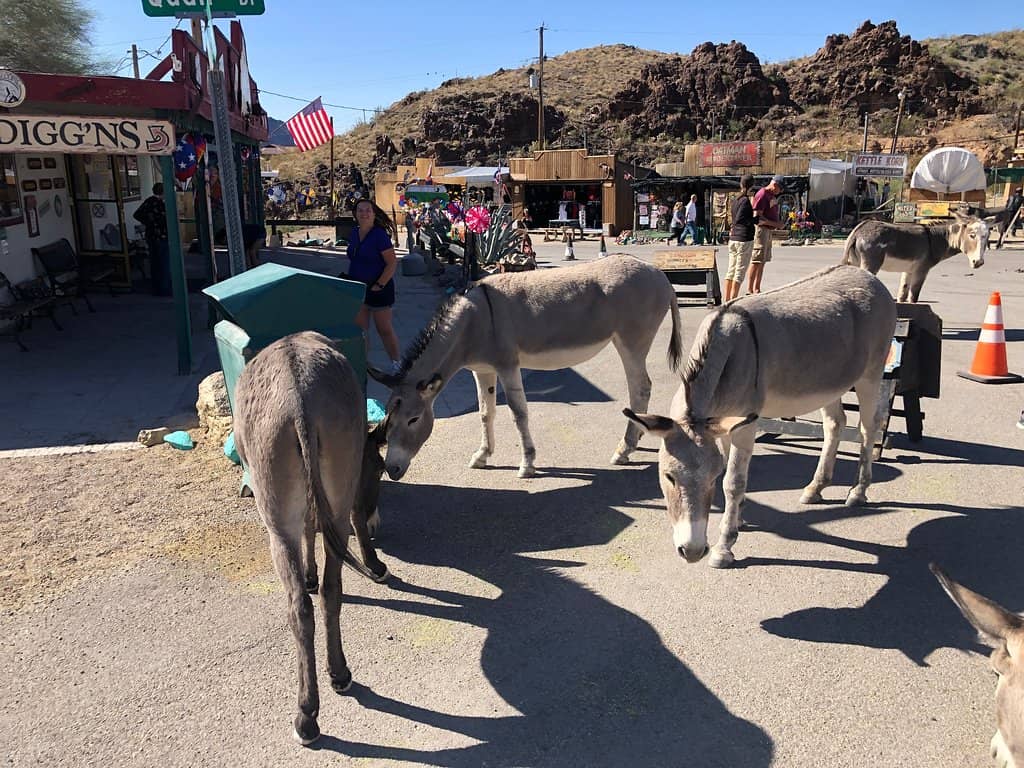 Oatman Hotel