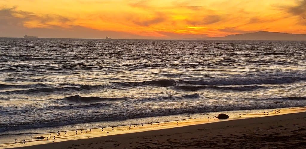 Bolsa Chica State Beach