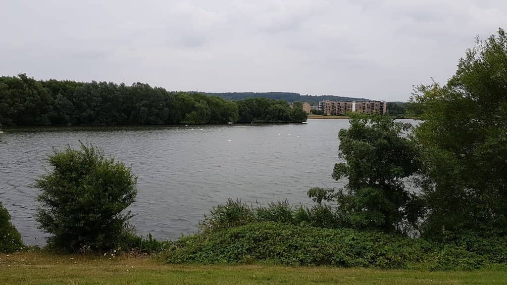 Hickory's Smokehouse