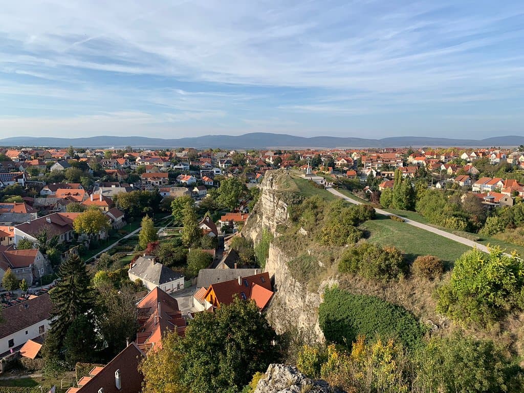 view
