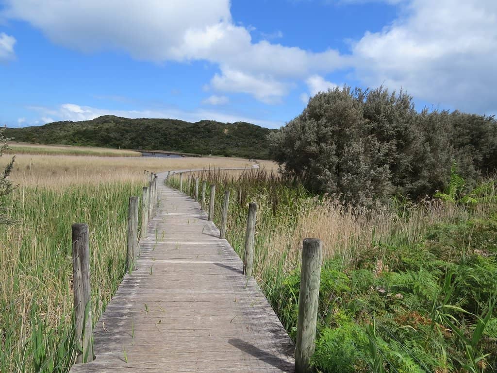 Wetland Boardwalk