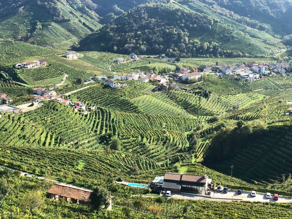 Panoramic Vineyard Views