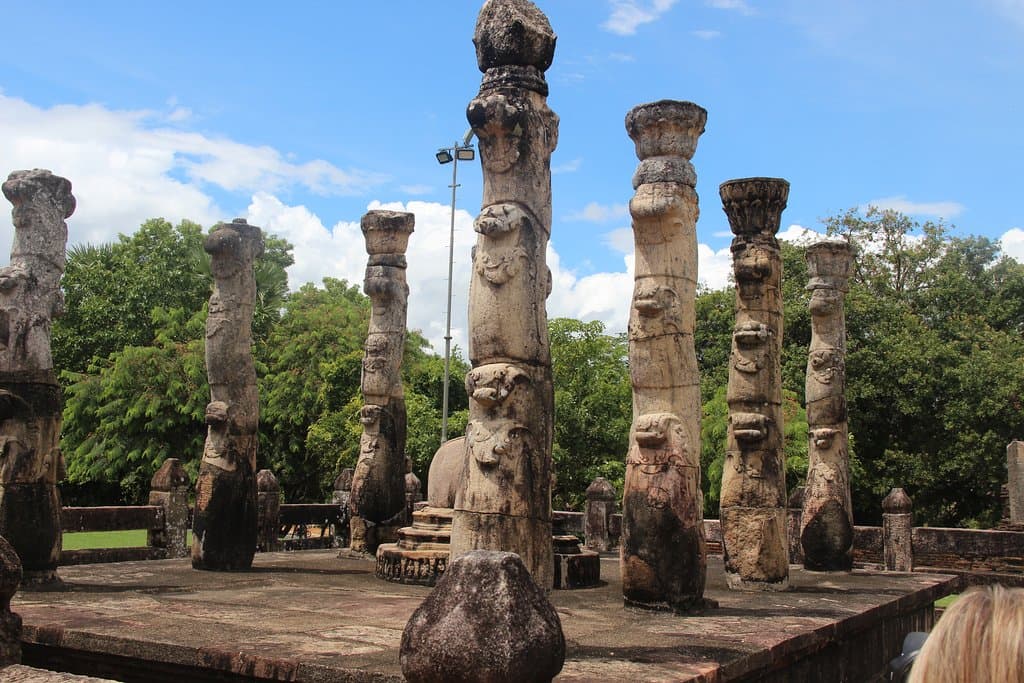 de sierlijke lotusstengels
