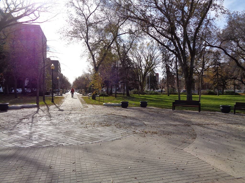 Urban Green Space