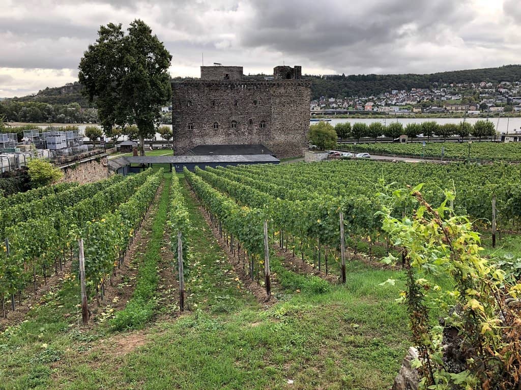 Rhine River Views