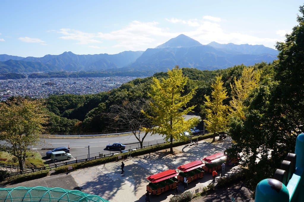 展望台からの眺め