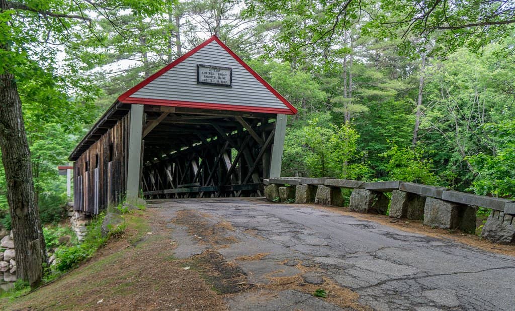 Photographer's Paradise