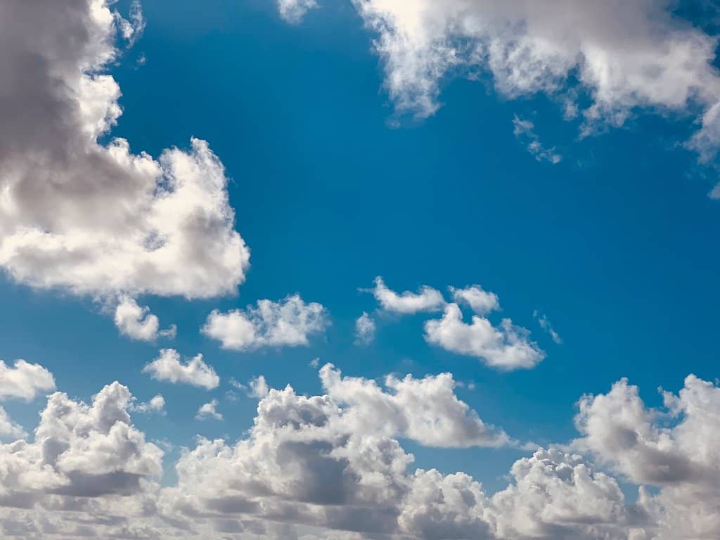 Rooftop Bar Experiences