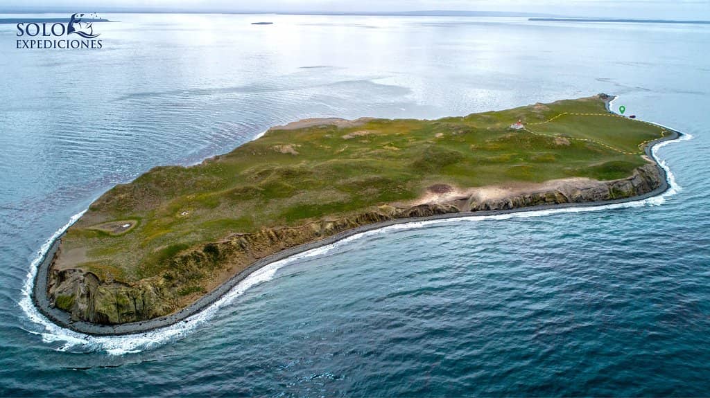 Magellanic Penguin Colony
