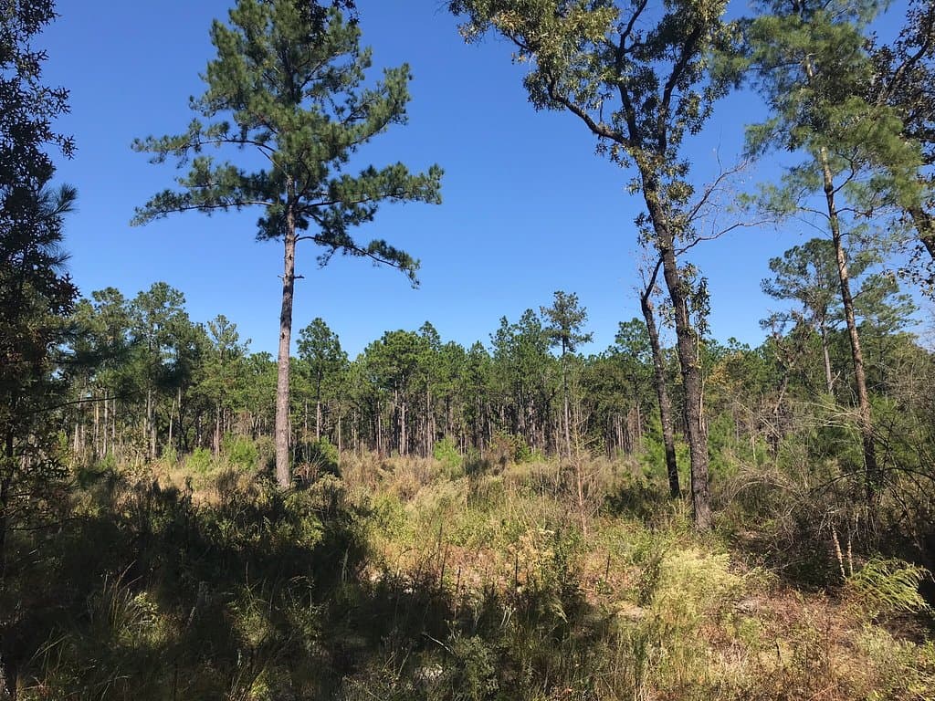 Trailhead walk. Really beautiful in November.