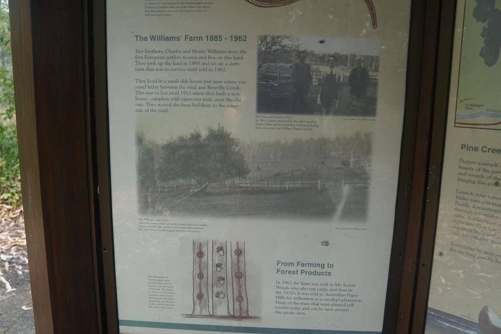 Bongil Bongil Picnic Area