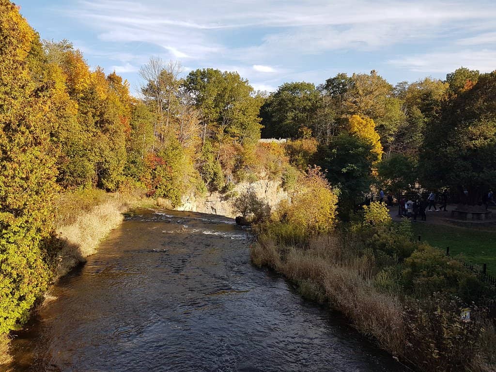 Webster's Falls