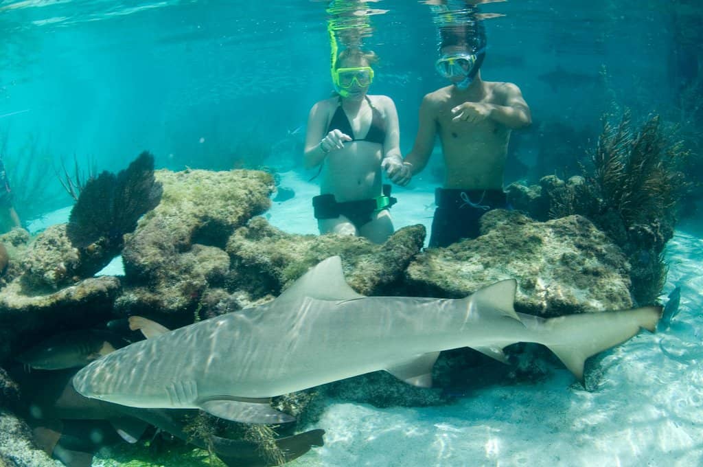 Nature Trails & Exhibits