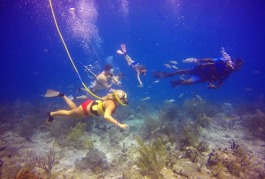 Undersea Observatory