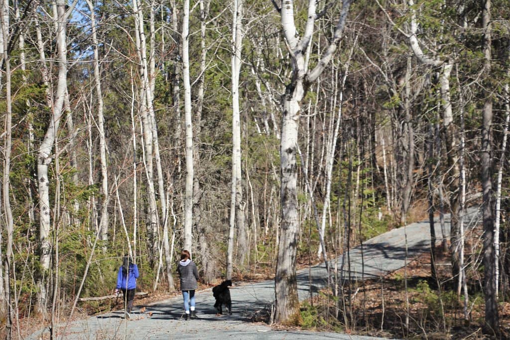 Adventure 365 Rentals