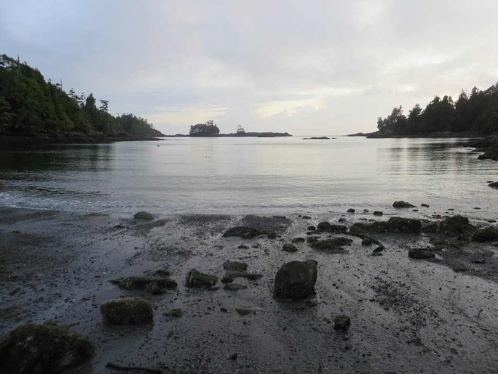 View out to sea